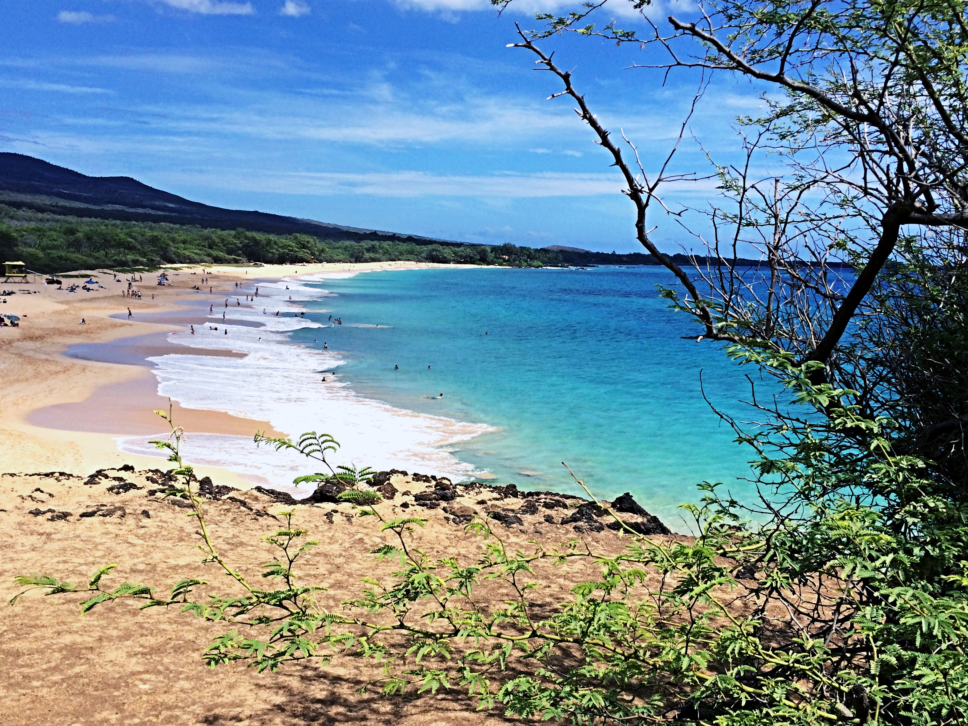 Meandering through Maui