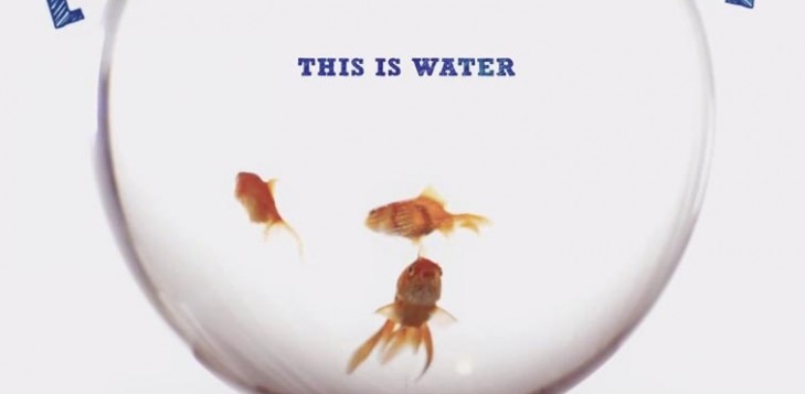 This is Water – MAGAZINE